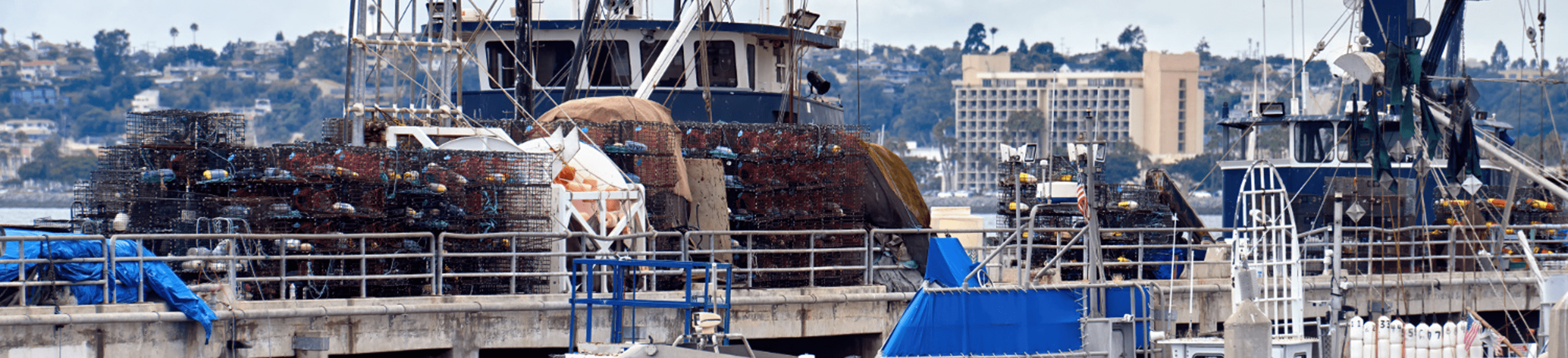 Boat Building course